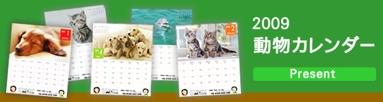 ユニフォームのご購入（1万円以上）の皆様に、【ユニフォームのユニフィス】2009「動物カレンダー」をプレゼント中です。