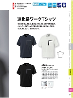 2025 年間物「XEBEC」のカタログ255ページ(xebc2025s255)