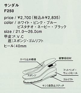 F250 サンダル(廃番)のサイズ画像