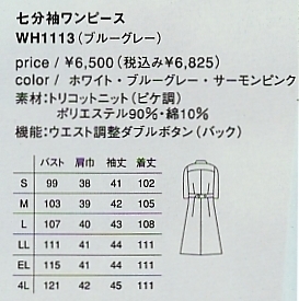 WH1113 ワンピース(廃番)のサイズ画像