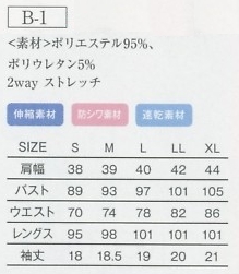 B-1-LLXL 衿付ノワールワンピース(LLXL)のサイズ画像