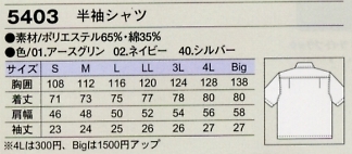 5403 半袖シャツ(16廃番)のサイズ画像