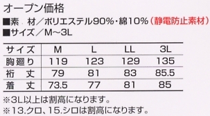 2530-301 トビシャツのサイズ画像