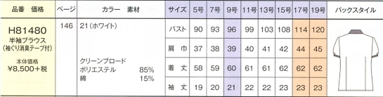 H81480 半袖ブラウス(17廃番)のサイズ画像