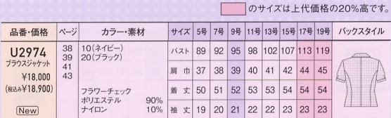 U2974 オーバーブラウス(13廃番)のサイズ画像