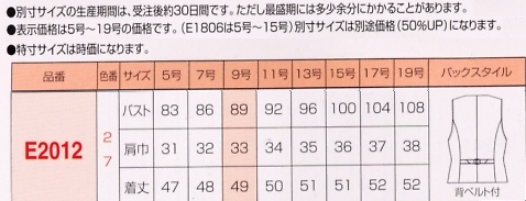 E2012 ベスト(15廃番)のサイズ画像