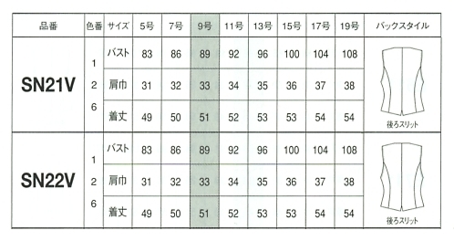 SN22V ベスト(廃番)のサイズ画像