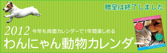 【ユニフォームのユニフィス】2012年度版・わんにゃん動物カレンダー今年もご好評のもと贈呈を終了いたしました。