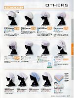 T2678 帽子(ホワイト)メッシュ付のカタログページ(asab2013n027)
