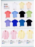 P5540 ポロシャツ(アップルグリーン)のカタログページ(asaw2008n037)