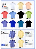 P5540 ポロシャツ(アップルグリーン)のカタログページ(asaw2009n035)