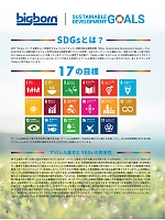 ユニフォーム bigb2025w006