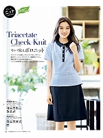 AD8800 ポロニット