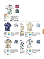 FB4518U アロハシャツのカタログページ(bmxf2022n163)