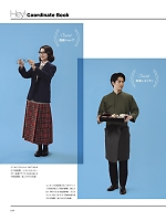 FK7172 和エプロン