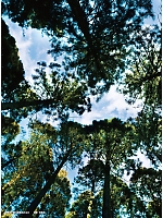 ユニフォーム jits2025w200