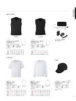 CST192 半袖Tシャツのカタログページ(karc2024n044)