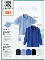 6001 吸汗速乾半袖ポロシャツのカタログページ(kkrs2015n012)