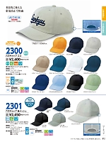 2301 六方キャップ後メッシュ