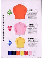 25441 裏綿長袖ポロシャツのカタログページ(kurk2009w125)