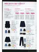 CL1511 スカート(16廃番)のカタログページ(riml2011n086)