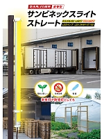 ユニフォーム sanf2026n075