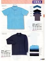 3217 T/C半袖鹿の子ポロシャツのカタログページ(snmb2012s037)