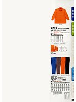 7205 長袖カッターシャツのカタログページ(tcbs2013n014)