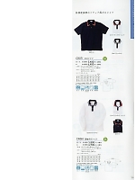 CR081 長袖ポロシャツのカタログページ(tikr2019n069)