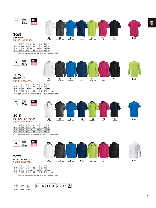TSデザイン TS DESIGN [藤和],3065,半袖ポロシャツの写真は2024最新のオンラインカタログの53ページに掲載されています。