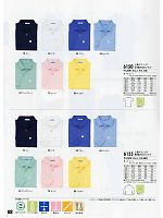 6155 長袖ポロシャツのカタログページ(xebc2011s068)