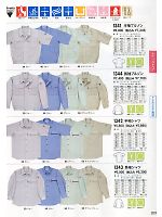 1342 半袖シャツのカタログページ(xebc2012s209)
