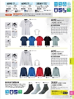6090 エコ半袖ポロシャツのカタログページ(xebc2023s257)