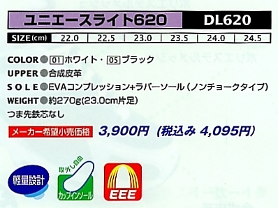 DL620 シューズのサイズ画像