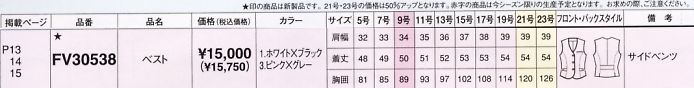 FV30538 ベスト(15廃番)のサイズ画像