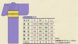 KI1031 単衣着物のサイズ画像