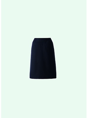 ユニフォーム36 E2256 Aラインスカート(美形)